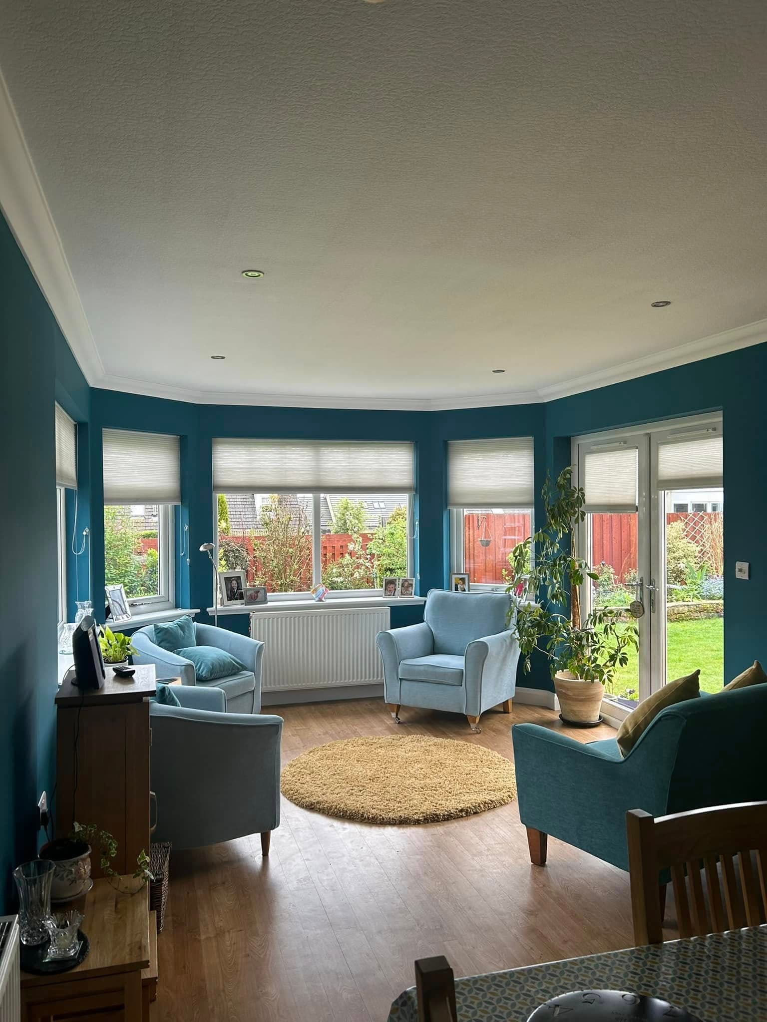Freshly painted living room with a charcoal feature wall and crisp white woodwork
